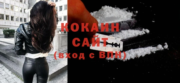 шишки Балахна