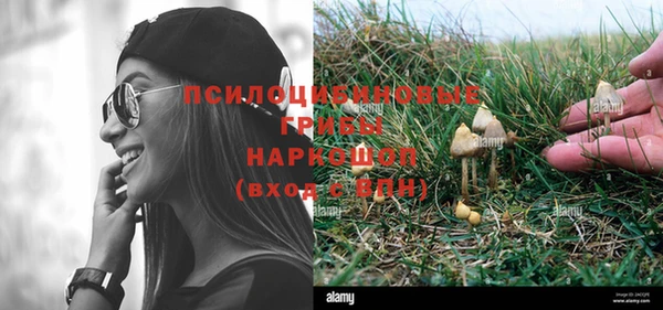 шишки Балахна