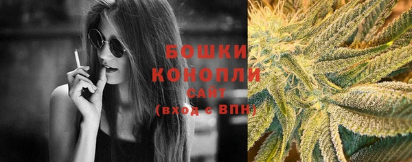 шишки Балахна