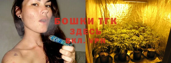 шишки Балахна