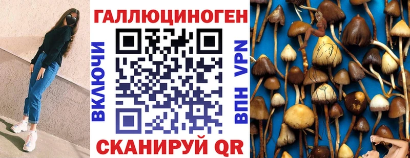 блэк спрут ССЫЛКА  Котельниково  Псилоцибиновые грибы мухоморы 